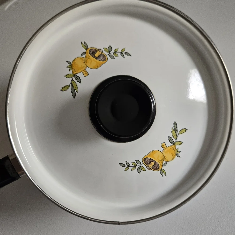 Vintage Gemini International Spice Of Life Mushroom Enamel Pot